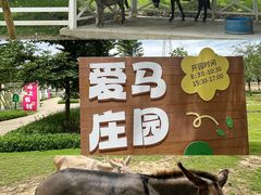 -盈香心动乐园