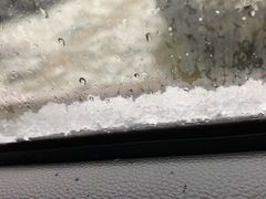 -天鹅湖体育公园