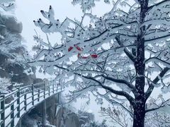 -沂蒙山旅游区云蒙景区(蒙山国家森林公园)
