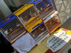 -老陆稿荐(西中市店)