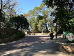 -金鸡山公园