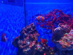 -多彩贵州城极地海洋世界