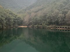 -午潮山国家森林公园