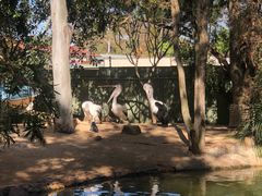 -费瑟代尔野生动物园