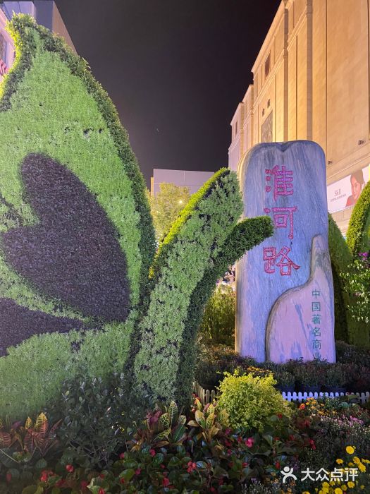 淮河路步行街图片