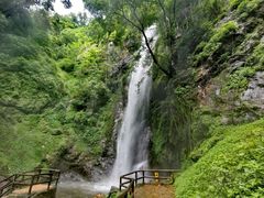 -莫里热带雨林景区