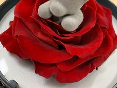 -ROSEONLY诺誓(国际广场购物中心店)