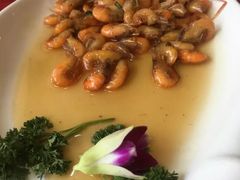 -石家饭店中市店