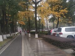 -四川大学(望江校区)
