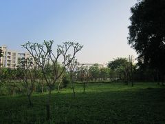 -顺德职业技术大学