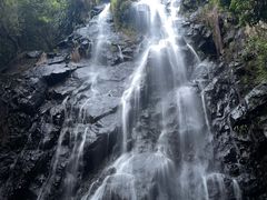 -马峦山郊野公园