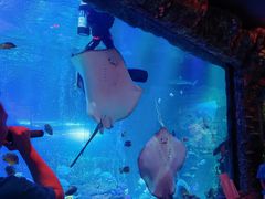 -沈阳海洋探索中心