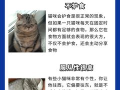 -爱侣宠医·鹦鹉专科·小型哺乳类·异宠专科(灵石路店)