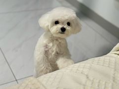 -FAELING PETS美天灵宠物(合生汇店)