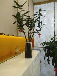 -CICI纤美·科技纤体美颜