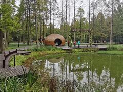 -黄海国家森林公园