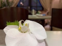 -丽晶美庐·玉兰餐厅