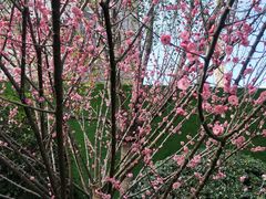 -中共上海市委党校 上海行政学院