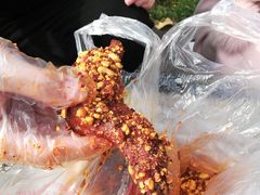 -邓氏兔头