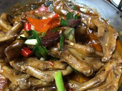 -全乐鱼馆·淳牌有机鱼直营店