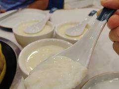 原味双皮奶-福禄财东北菜(珠江帝景店)