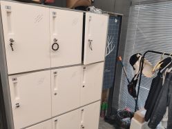 -藤野造型