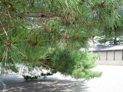 -京都御所