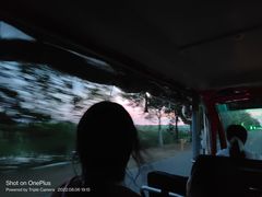 -荷花荡