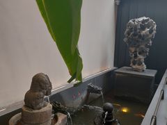 -单家老院·院子里的青岛菜(沙子口店)