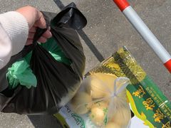 -江杨农产品批发市场