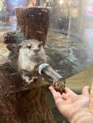 -Zoolung Zoolung动物主题公园(海信广场店)