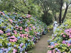 -沈阳植物园