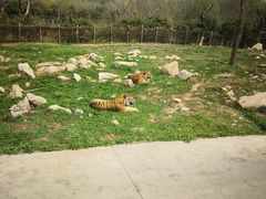 -西安秦岭野生动物园