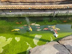 -欢乐水魔方水世界