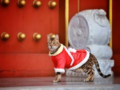 -盛世南宫影视城(北普陀影视城)