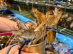 -雍容荟帝王蟹活龙虾展台自助(IFS黑金店)