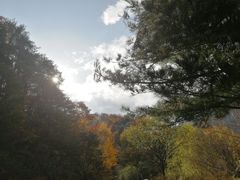 -沣峪口