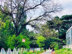 -国家植物园南园