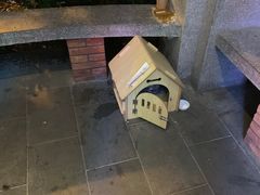 -星巴克臻选(思南公馆店)