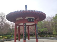 -洛阳市隋唐城遗址植物园