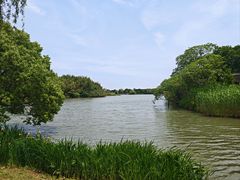 -沙家浜风景区