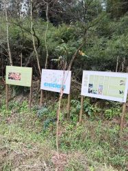 -金芙美月子中心(财富别墅店)