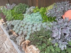 -木王宴语·野生鲜菌火锅(玉河店)