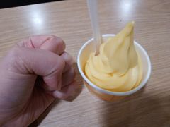 -麦当劳(王顶堤店)