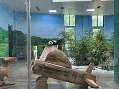 -临沂动植物园