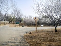 -永定河休闲森林公园