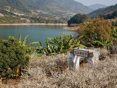 -广州市流溪河国家森林公园