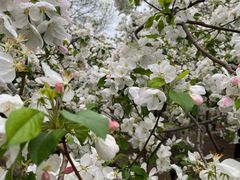 -元大都城垣遗址公园