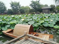 -鹅湖玫瑰文化园