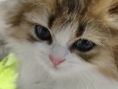 -国际非物质文化遗产博览园